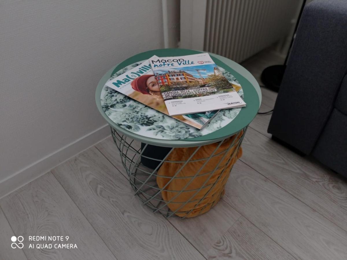 Appartement La Roseraie Parking Prive Mâcon Zewnętrze zdjęcie