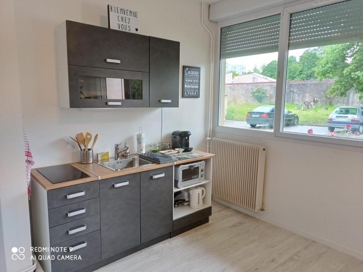 Appartement La Roseraie Parking Prive Mâcon Zewnętrze zdjęcie