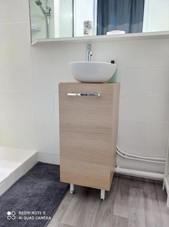 Appartement La Roseraie Parking Prive Mâcon Zewnętrze zdjęcie