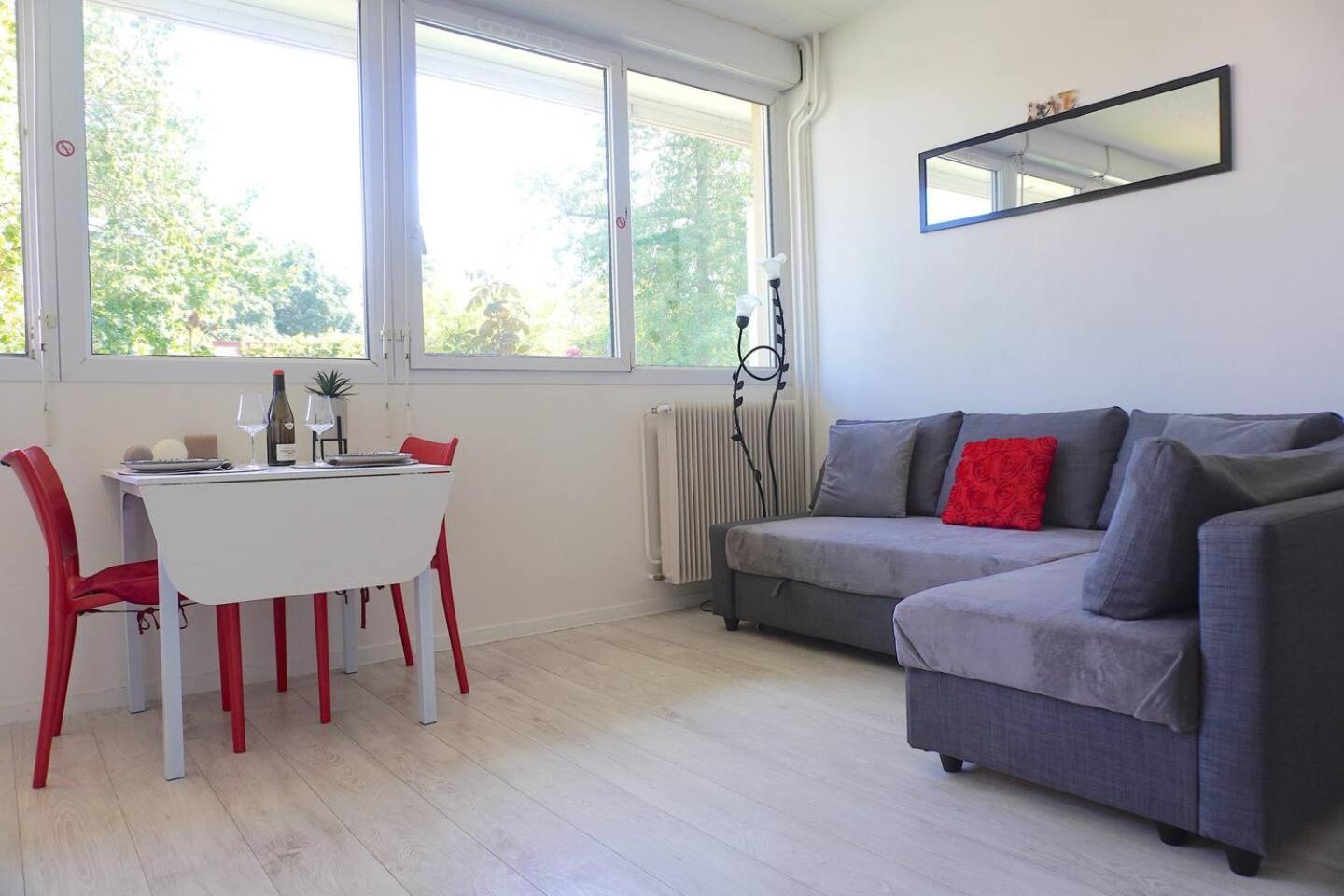 Appartement La Roseraie Parking Prive Mâcon Zewnętrze zdjęcie
